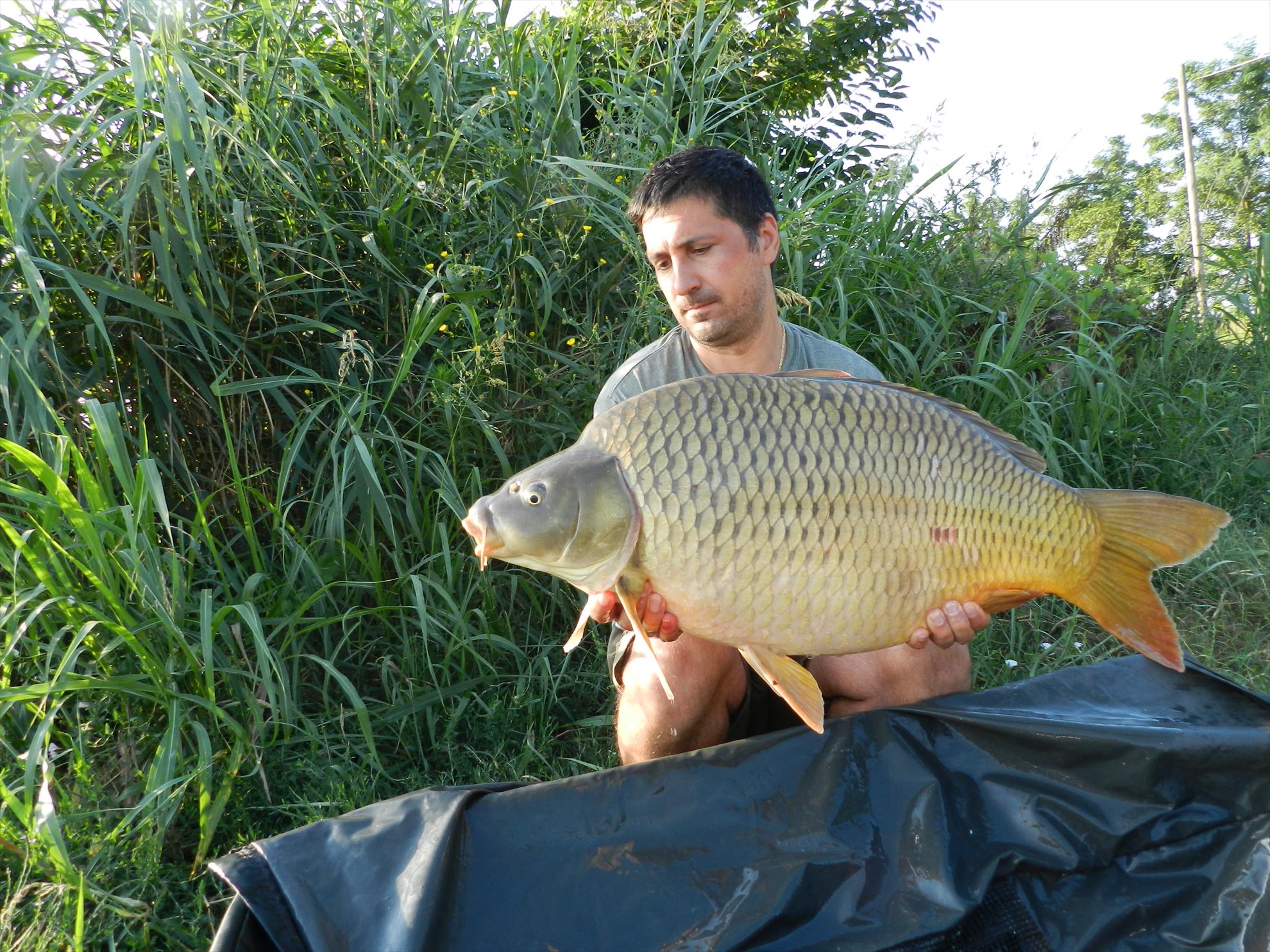 2015/iulie capturi - dscn4055.JPG